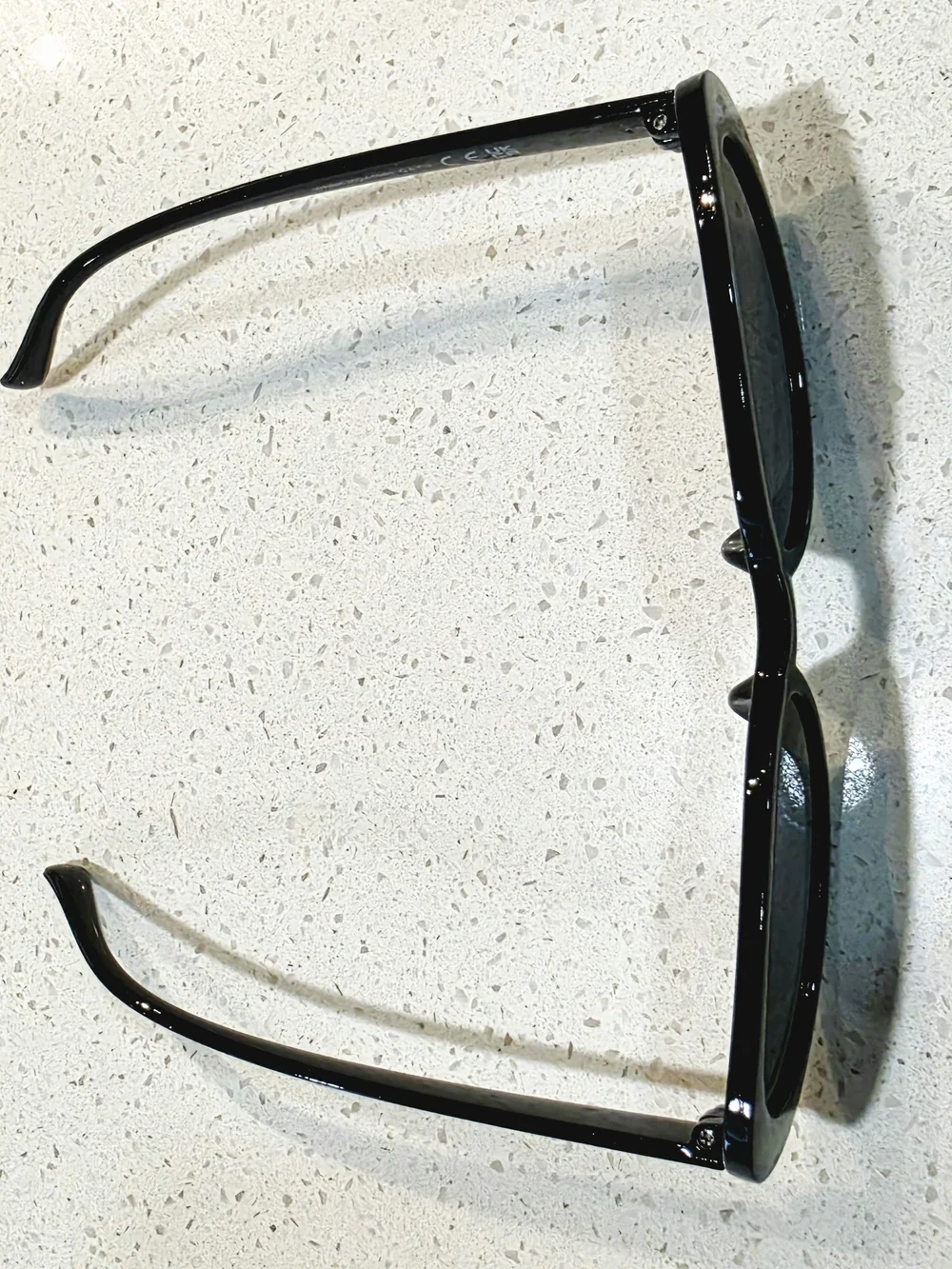 Classic Black Oval Sunglasses for Women